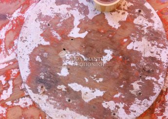 Σκουλήκι ξύλου – σκόρος ξύλου – σαράκι ξύλου