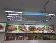 Ηλεκτρική παγίδα ιπτάμενων εντόμων