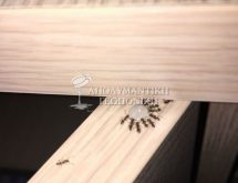 Απεντόμωση μυρμηγκιών με τζελ για μυρμήγκια