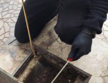 Απεντομώσεις - Απολυμάνσεις για κατσαρίδες