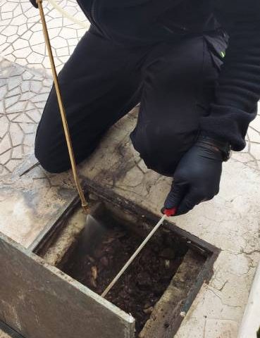 Απεντομώσεις - Απολυμάνσεις για κατσαρίδες