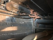 Χωμάτινα κανάλια υπόγειων τερμιτών