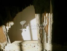 Τερμίτες σε σπίτι