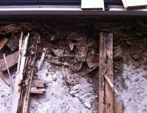 Υπόγειοι τερμίτες στο πάτωμα