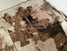 Προσβολή υπόγειων τερμιτών σε ξύλινο πάτωμα