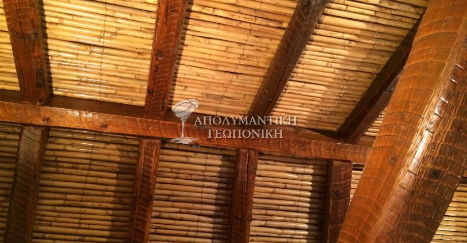 Σαράκι σε ξύλινη οροφή
