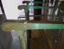 Σκουλήκι ξύλου ή σαράκι ξύλου