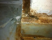 Χωμάτινο κανάλι υπόγειων τερμιτών