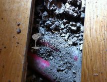 Υπόγειοι τερμίτες στο πάτωμα