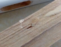 Προσβολή από ξυλοφάγο κολεόπτερο (σαράκι)