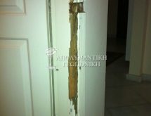 Υπόγειοι τερμίτες στην κάσα