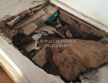 Προσβολή υπόγειων τερμιτών σε ξύλινο πάτωμα