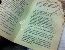 Τι τρώνε οι τερμίτες