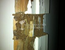 Χωμάτινα κανάλια τερμιτών