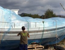 Σκόρος ξύλου - καταπολέμηση με υποκαπνισμό