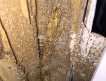 Εργάτες ( κάστα υπόγειων τερμιτών)