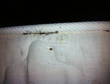 Κοριοί σε στρώμα