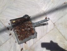 Απεντόμωση κατσαρίδες