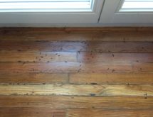 Τερμίτες Ξηρού Ξύλου