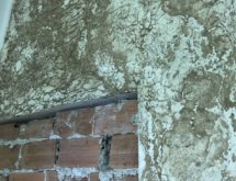 Χωμάτινα κανάλια υπόγειων τερμιτών σε τοίχο