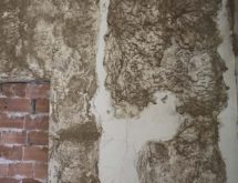 Υπόγειοι τερμίτες πίσω από ντουλάπα