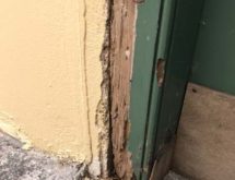 Τερμίτες στο σπίτι