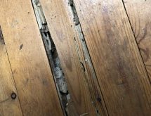 Τερμίτες στο πάτωμα