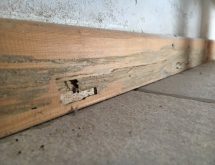 Τερμίτες σε πάτωμα