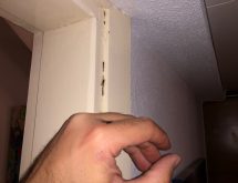 Τερμίτες στο σπίτι