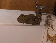 Αντιμετώπιση τερμιτών στο σπίτι