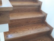 Τερμίτες σε σκάλα