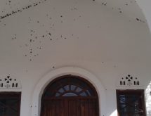 Μαύρα σκουλήκια της υγρασίας σε ταβάνι