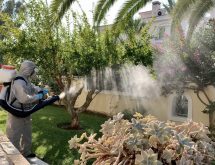 Ψυχρή εκνέφωση για κουνούπια